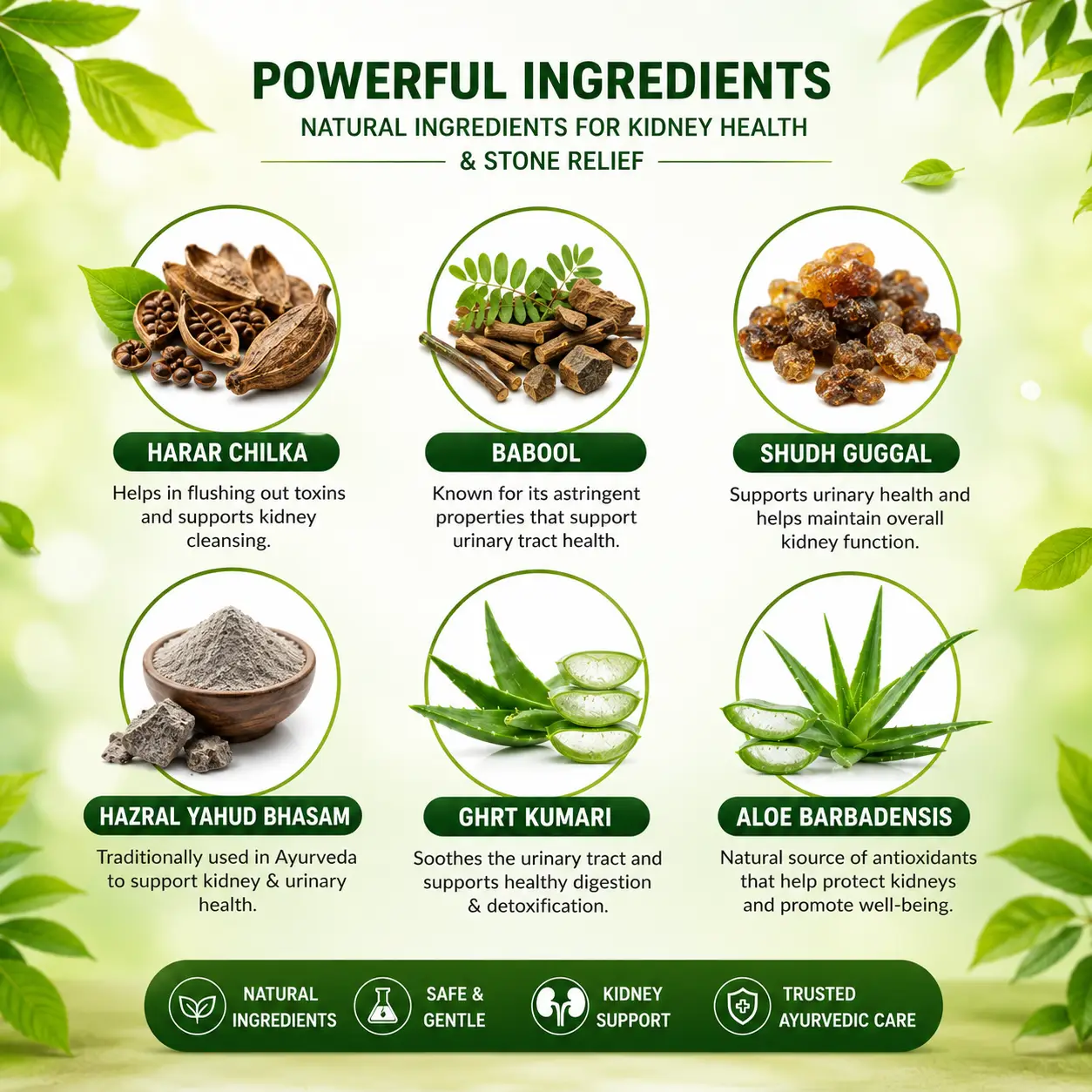 Ayurvedic Kidney Stone Support