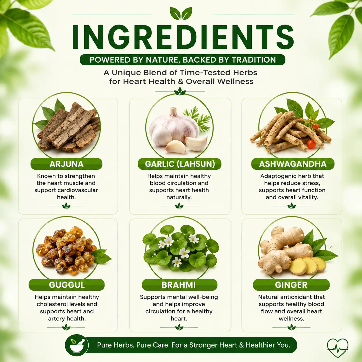 Herbal Ingredients in Urjasvala Hearto-H Tablets