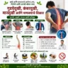 गुडघेदुखी, मानदुखी आणि मणक्याचे विकार | नैसर्गिक उपाय