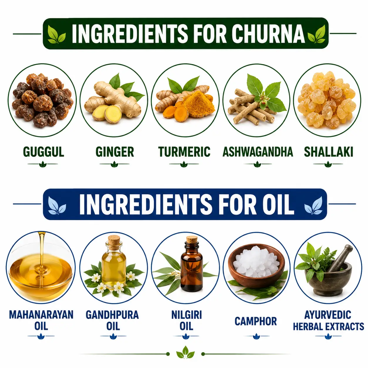 Natural Ayurvedic ingredients in Joint Pain Combo