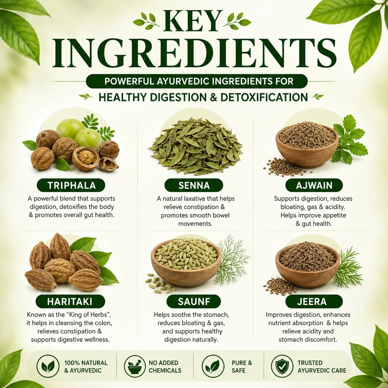 Urjasvala Digestion Combo Natural Ayurvedic Ingredients