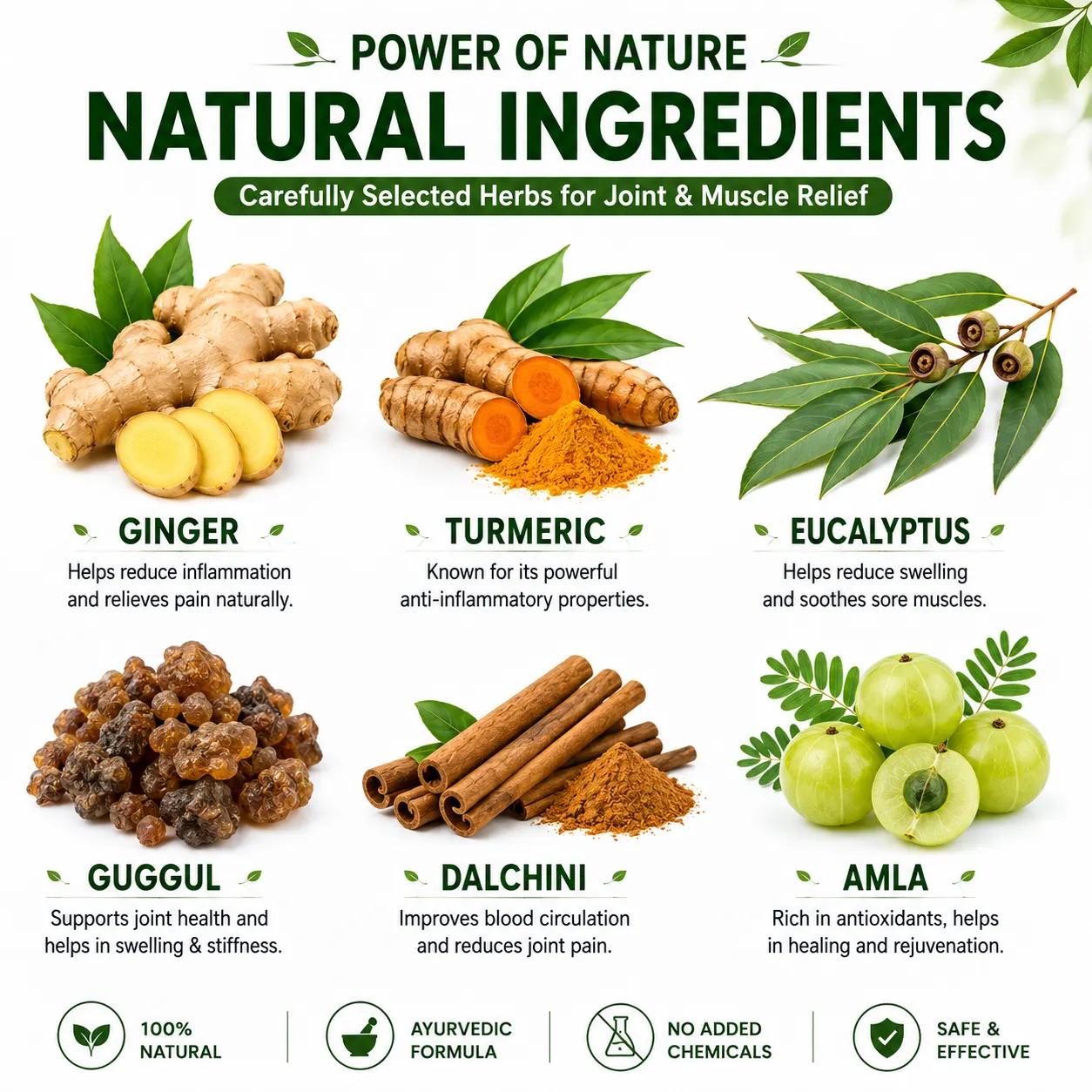 Herbal Ingredients in Urjasvala Ortho Relief Churna