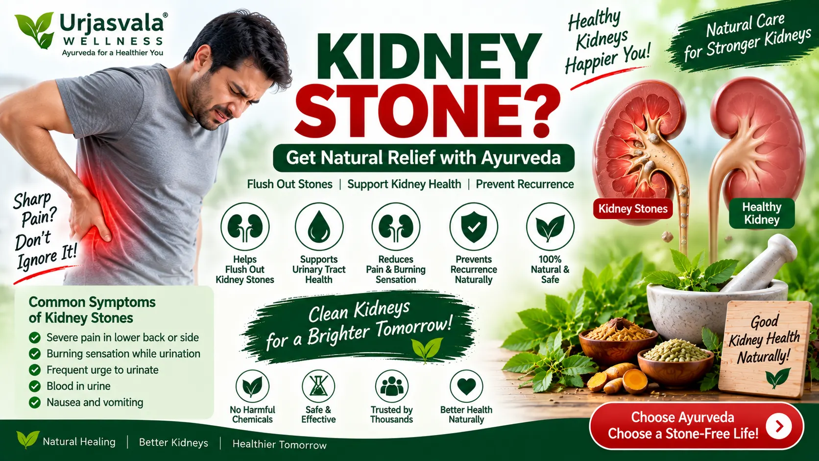 Ayurvedic Treatment for Kidney Stones – Natural Kidney Stone Care