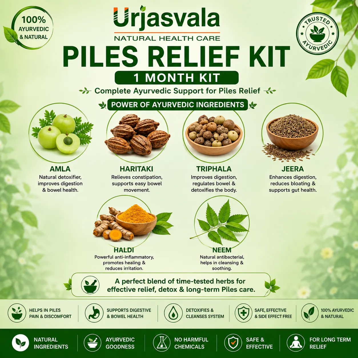 Ayurvedic ingredients in Piles Relief Kit